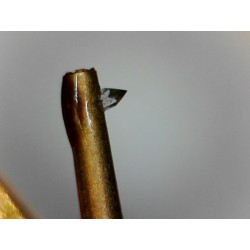 Platine vinyle Technics SL-1700 + Cellule Technics EPC-205C-II L + diamant EPS-205EX