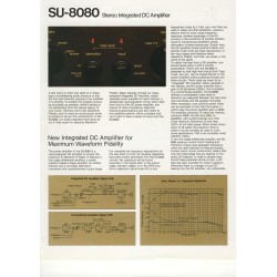 Technics SU-8080