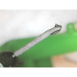 Cellule Audio-Technica AT10G + Porte cellule Audio-Technica + Diamant (stylus)